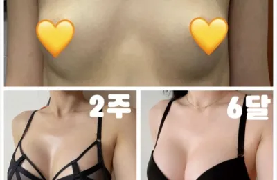 セビンサブ6ヶ月）1年目が楽しみです :)