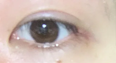 [目] ユルハン - 目