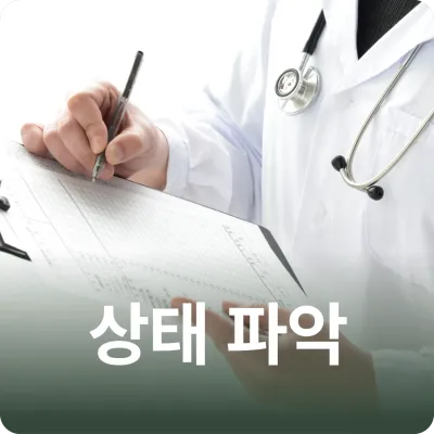 ソルダム韓方病院